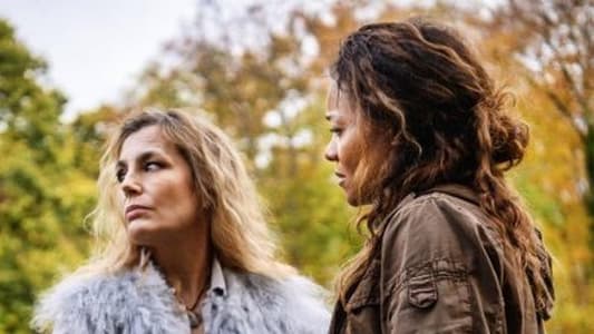 Image Bright Minds 5