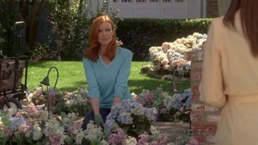 Image Mujeres desesperadas 21