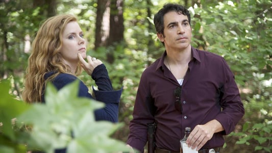 Image Sharp Objects 4