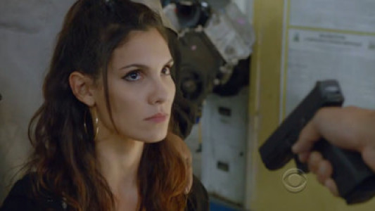 Image NCIS Los Angeles 11