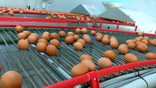 Image Equipo de Investigación 30