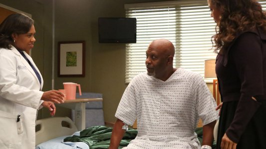 Image Anatomía de Grey (Greys Anatomy) 5