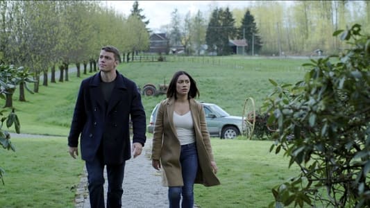 Image El agente nocturno 4