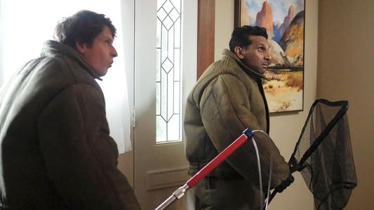 Image Animal Control 4