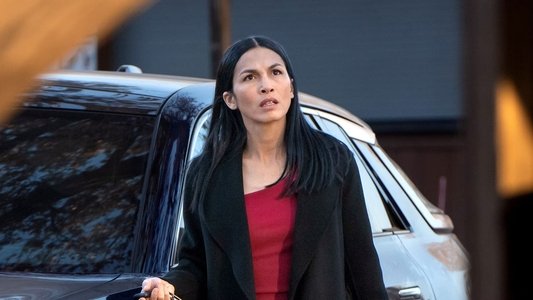 Image La chica de la limpieza 5