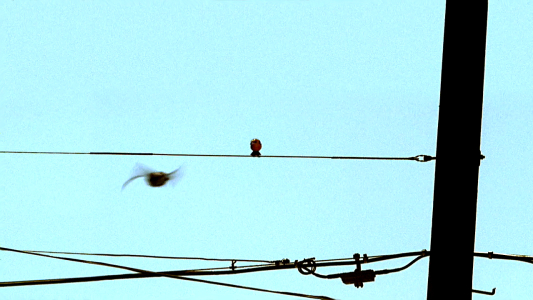 Image Mentes Criminales (Criminal Minds) 4