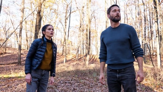 Image New Amsterdam 11