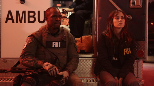 Image The Following 2