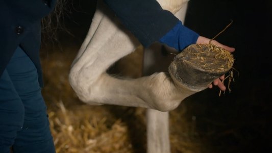 Image Bright Minds 7