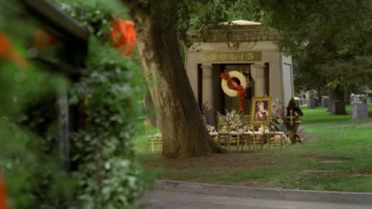 Image Mujeres desesperadas 17