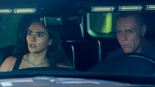 Image Chicago P.D. 4