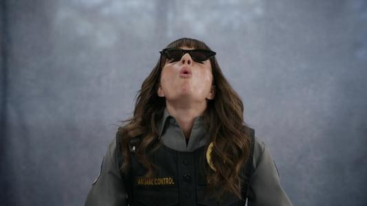 Image Animal Control 8