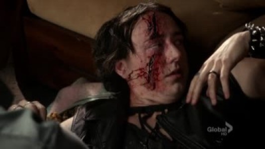 Image Hawaii Five-0 5