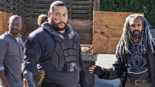 Image The Walking Dead 13