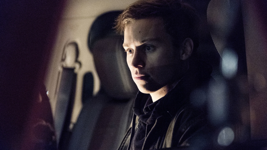 Image Animal Kingdom 3