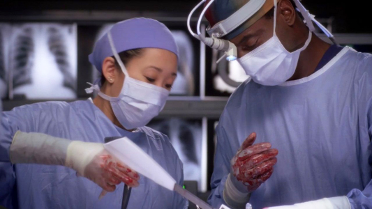 Image Anatomía de Grey (Greys Anatomy) 6