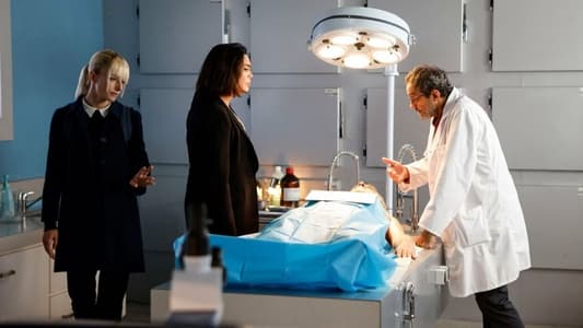 Image Bright Minds 1