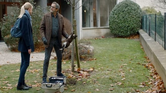 Image Bright Minds 5