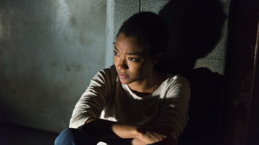 Image The Walking Dead 15