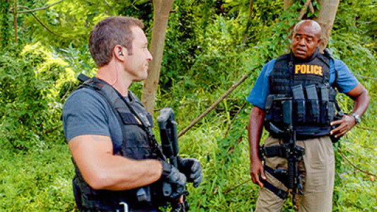 Image Hawaii Five-0 12