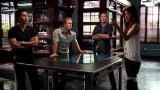 Image Hawaii Five-0 2