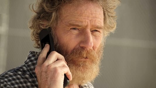 Image Your Honor (US) 1