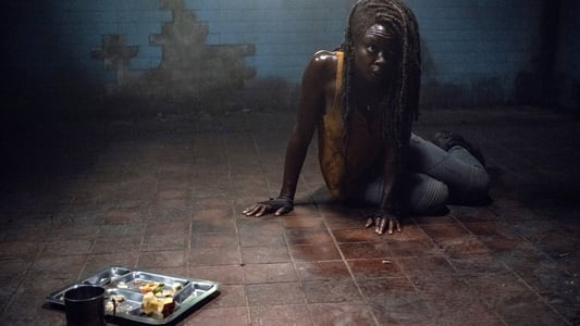 Image The Walking Dead 13