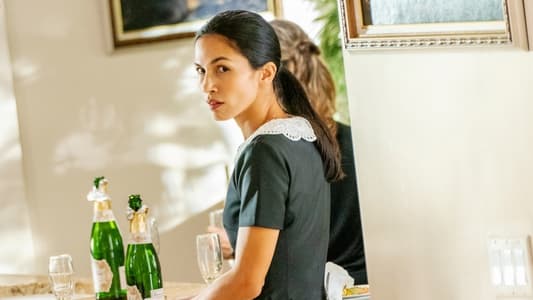 Image La chica de la limpieza 3