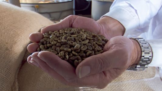 Image Equipo de Investigación 33