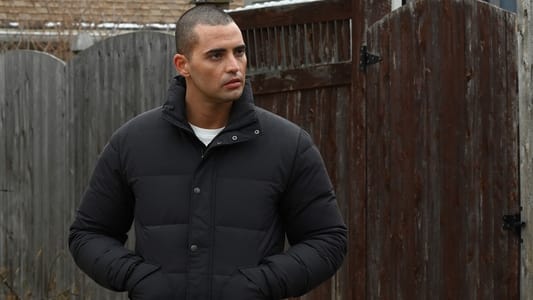 Image Chicago P.D. 4