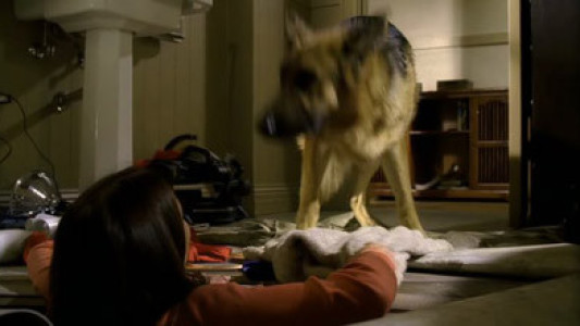 Image Mujeres desesperadas 8