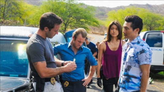 Image Hawaii Five-0 15
