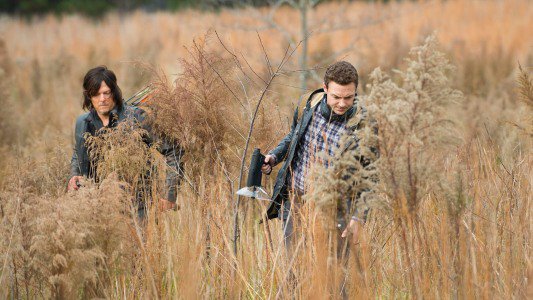 Image The Walking Dead 16