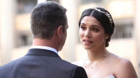 Image Chicago Fire 22