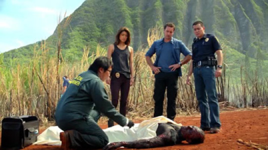 Image Hawaii Five-0 8