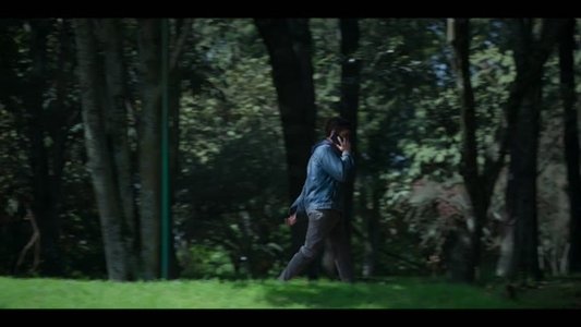 Image La huésped 19