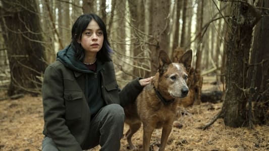 Image Orphan Black: Echoes 7