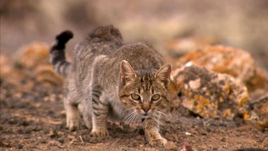 Image Equipo de Investigación 32