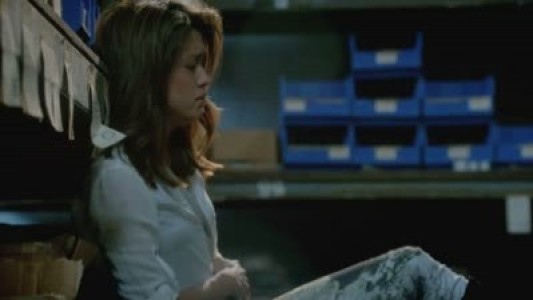 Image Hawaii Five-0 23