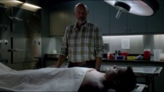 Image Hawaii Five-0 5