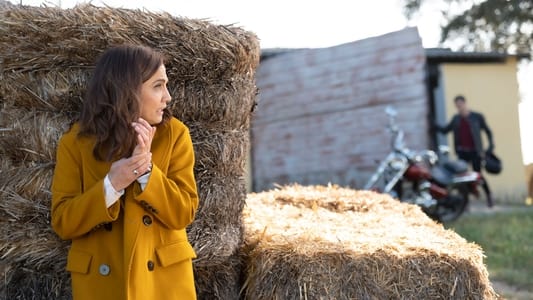 Image 4 estrellas 27