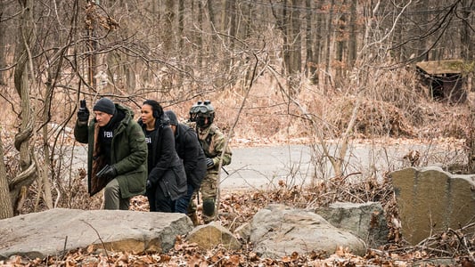 Image FBI Most Wanted 5