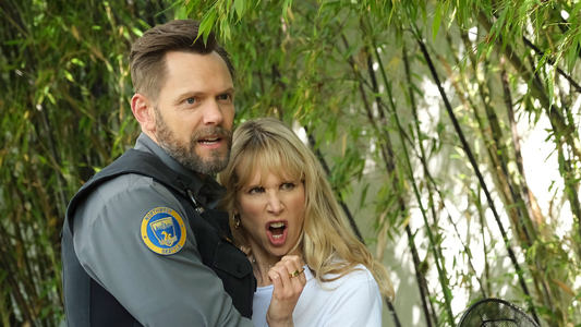 Image Animal Control 2