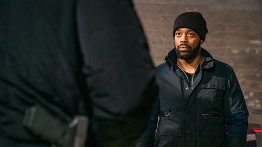 Image Chicago P.D. 12