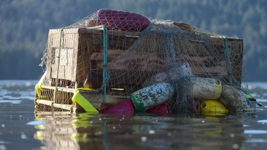 Image Supervivencia en Equipo 5