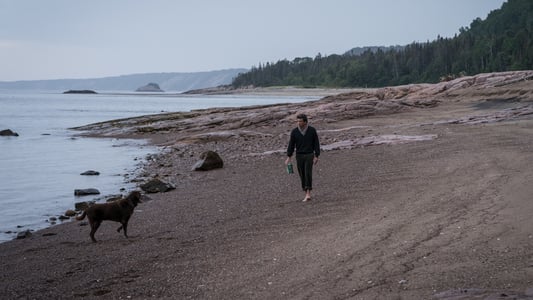 Image La verdad sobre el caso Harry Quebert 8