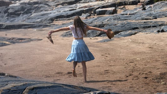 Image La verdad sobre el caso Harry Quebert 1