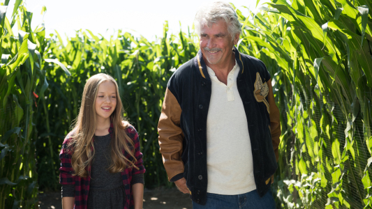 Image La Vida En Piezas 8