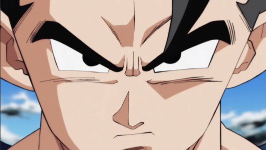 Image Dragon Ball Super 88