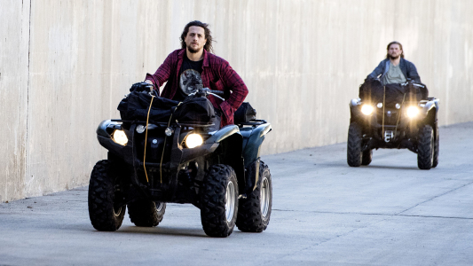 Image Animal Kingdom 1